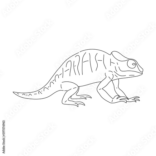 Chameleon in line art drawing style. Vector illustration. © Lori Li