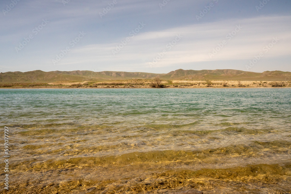 view of the coast of island, Ili River Kazakhstan, Central Asia