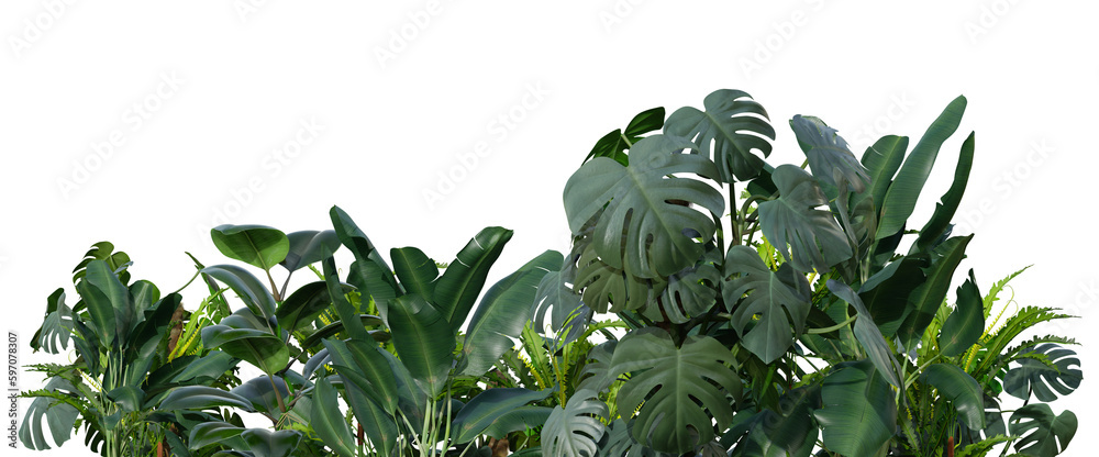 Obraz premium Tropical plants on transparent background as png. Botanical foreground. Lower frame, border. Cut out graphic design element. 3D rendering.