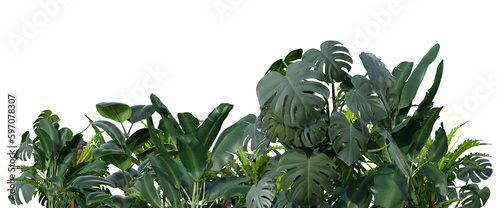 Tropical plants on transparent background as png. Botanical foreground. Lower frame, border. Cut out graphic design element. 3D rendering.
