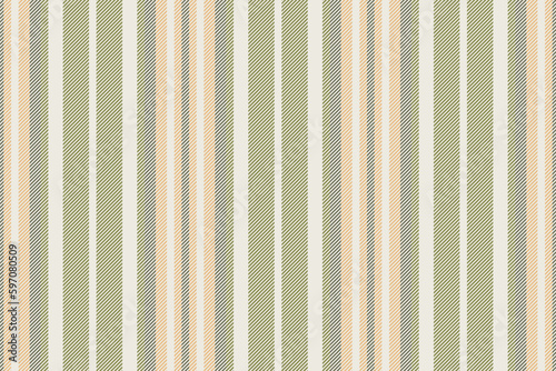 Vertical lines stripe background. Vector stripes pattern seamless fabric texture. Geometric striped line abstract design.