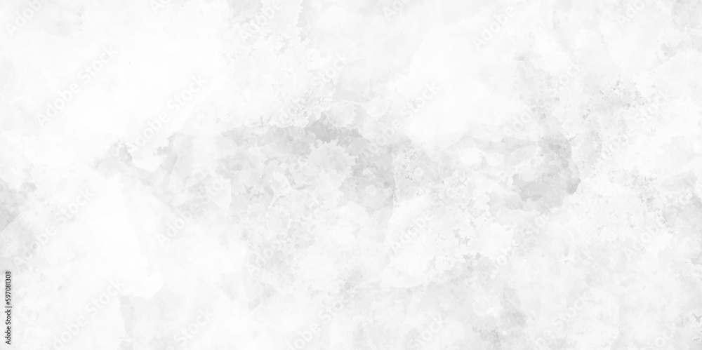Obraz premium White abstract ice texture grunge background. white background with gray vintage marbled texture, distressed old textured stained paper design. White Grunge Wall Background.