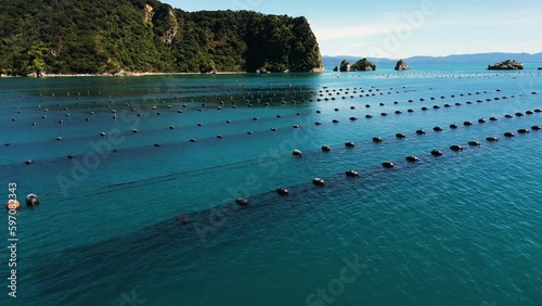 Clam breeding farms filmed on a sunny day near the rocks and cliffs in New Zealand