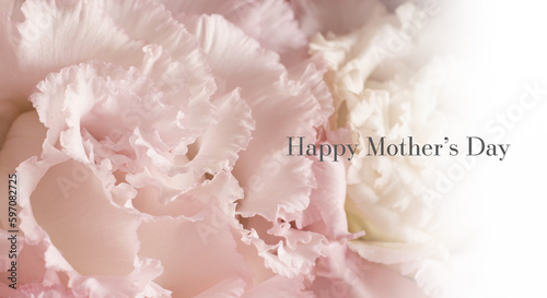 ピンクのカーネーションの花びらのアップ、バラの花束のマクロ接写　カードサイズ、母の日の背景（コピースペース © tenpadasi
