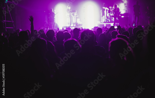 crowd at live concert music festival