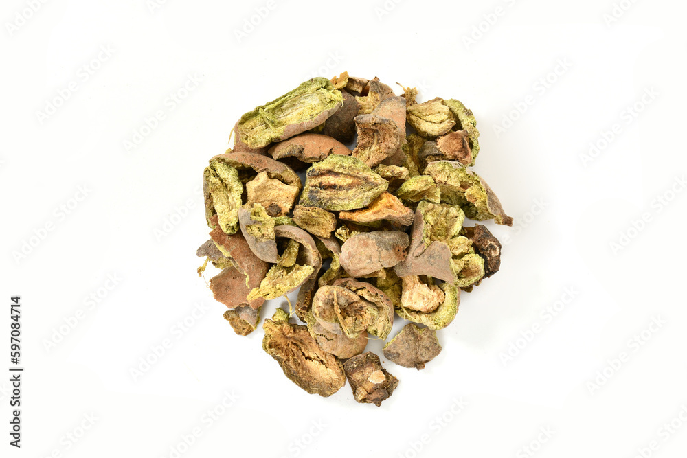 Obraz premium Bulu. Bedda Nut Tree. Terminalia bellirica. Baheda. Bulu - Thripala. 