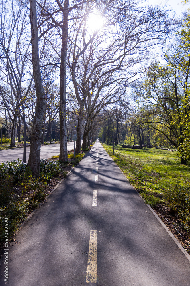 Bicycle track through the park on a spring day in the morning. Bicycle track through the park on a spring day in the morning.