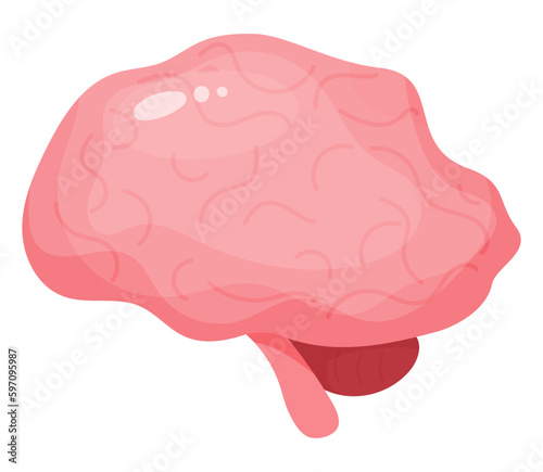 Brain. Human organ central nervous system. Vector illustration in flat cartoon style.