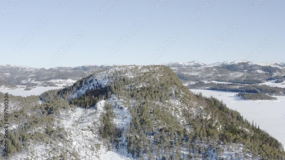 Dense Pine Trees Over Mountains During Snowy Winter Season. Aerial Drone Shot Dense Pine Trees Over Mountains During Snowy Winter Season. Aerial Drone Shot