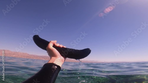 Man Holds Sea Cucumber While on a Snorkeling Adventure, Funny Holothuroidea