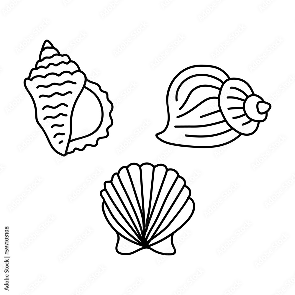 Vector shells in the doodle style. hand drawn seashells black outline sketch isolated elements on white background for design template Vector shells in the doodle style. hand drawn seashells black outline sketch isolated elements on white background for design template