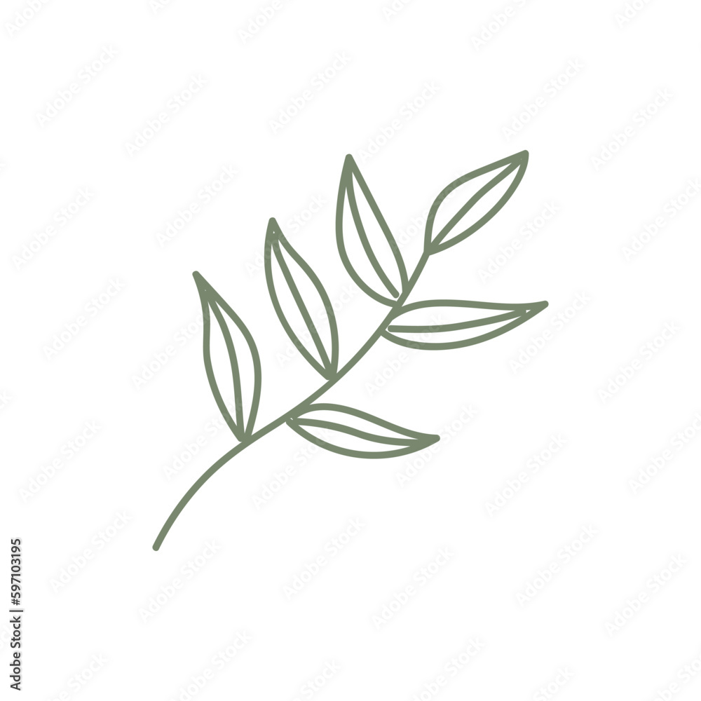 Botanical hand drawn vector element. foliage, leaf branch, floral in line art illustration design for logo, wedding, invitation, decor. Botanical hand drawn vector element. foliage, leaf branch, floral in line art illustration design for logo, wedding, invitation, decor.