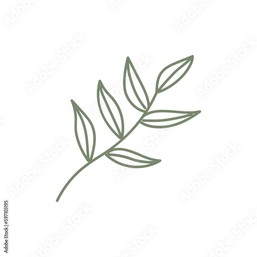 Botanical hand drawn vector element. foliage, leaf branch, floral in line art illustration design for logo, wedding, invitation, decor.