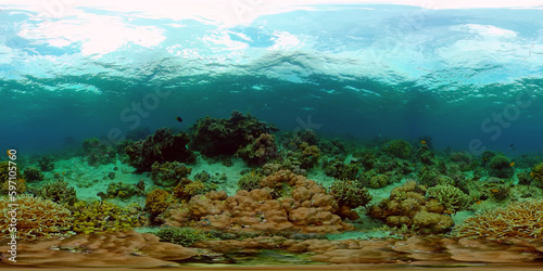 Fototapeta Naklejka Na Ścianę i Meble -  Tropical sea and coral reef. Underwater Fish and Coral Garden. Underwater sea fish. Tropical reef marine. Colourful underwater seascape. Philippines. Virtual Reality 360.