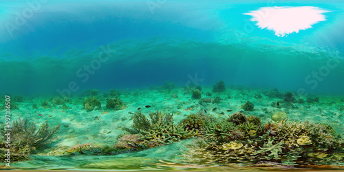 Tropical coral reef. Underwater fishes and corals. Underwater fish reef marine. Philippines. Virtual Reality 360. © Alex Traveler