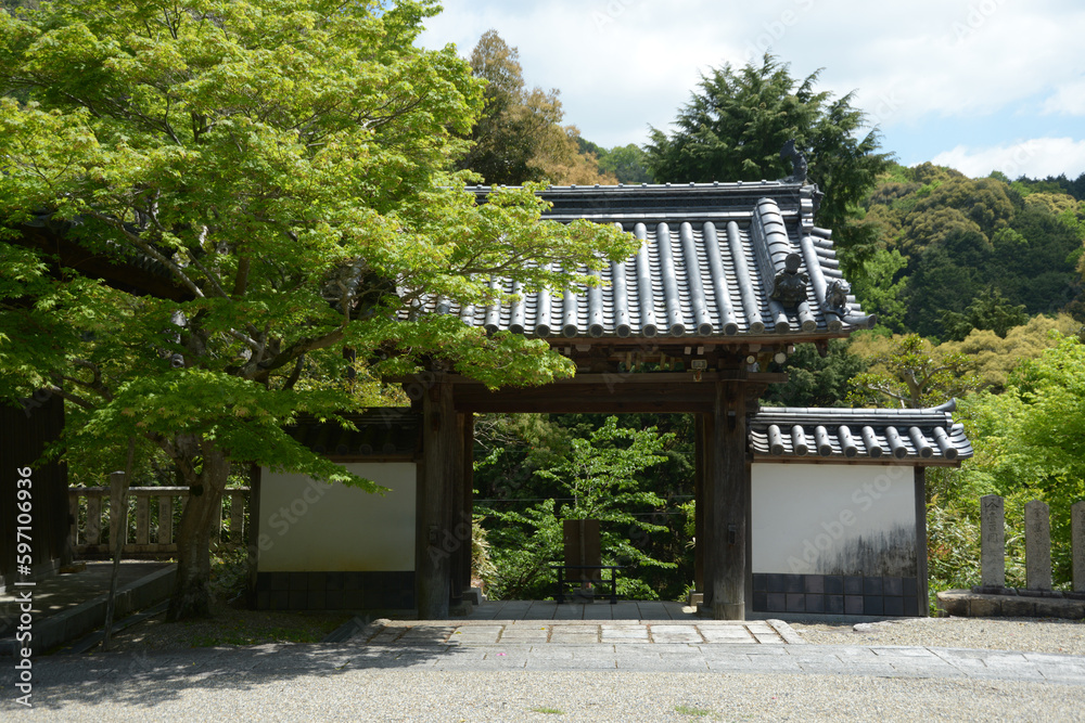 新緑の海住山寺　山門　京都府木津川市加茂町