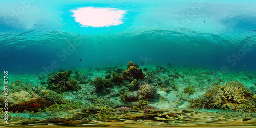 Tropical coral reef and fishes underwater. Hard and soft corals. Philippines. Virtual Reality 360.