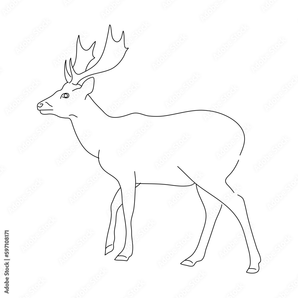 Doodle of Deer. Hand drawn vector illustration.