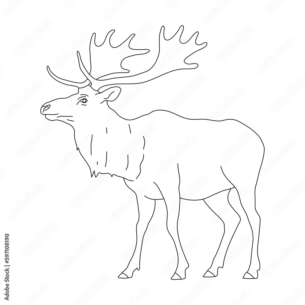Doodle of Elk. Hand drawn vector illustration.