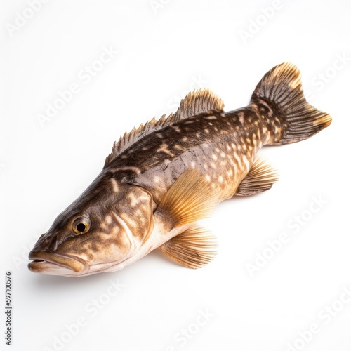 Lingcod fish isolated on white. Generative AI