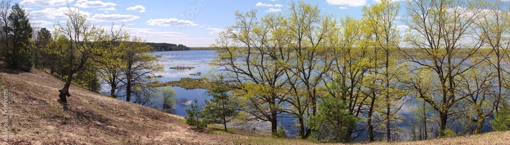 panorama spring flood fields flooded with water trees with young greenery on a hillock