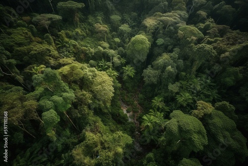 Overhead view of Peru s rainforest and the Amazon jungle. Generative AI