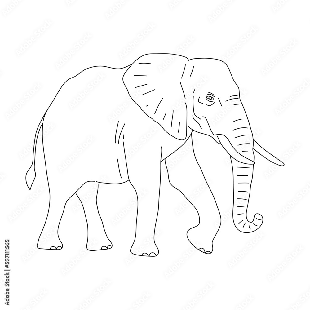 Fototapeta premium Sketch of Elephant drawn by hand. Vector hand drawn illustration.