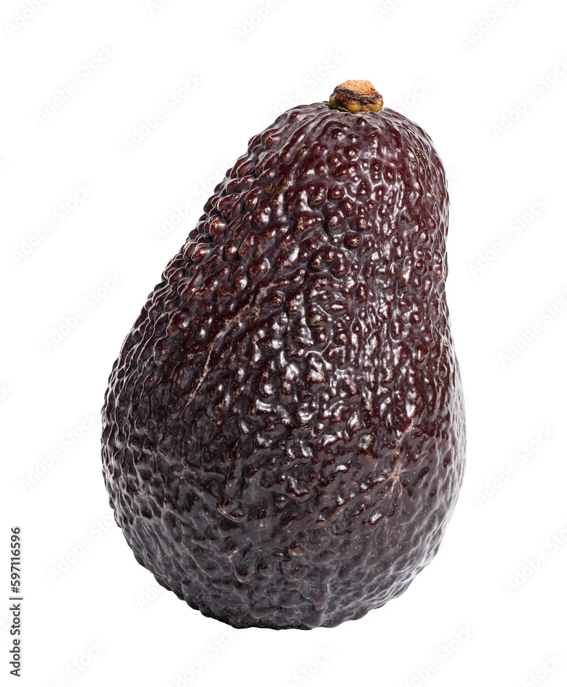 Whole brown avocado isolated on white background Whole brown avocado isolated on white background