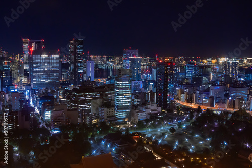 東京タワーからの眺め、夜景