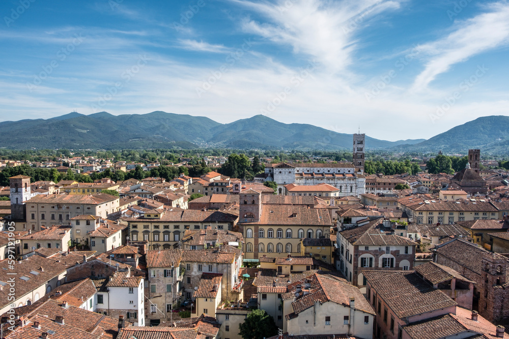 Blick vom Turm Torre Guinigi, Lucca, Toskana, Italien