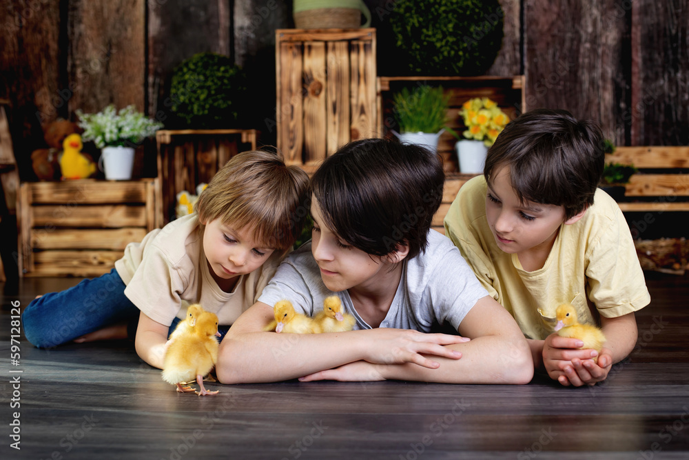 Fototapeta premium Happy beautiful kids, playing with small beautiful ducklings, cute fluffy animal birds