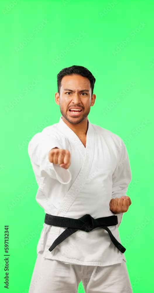 Portrait, karate and shouting with a man on a green screen background