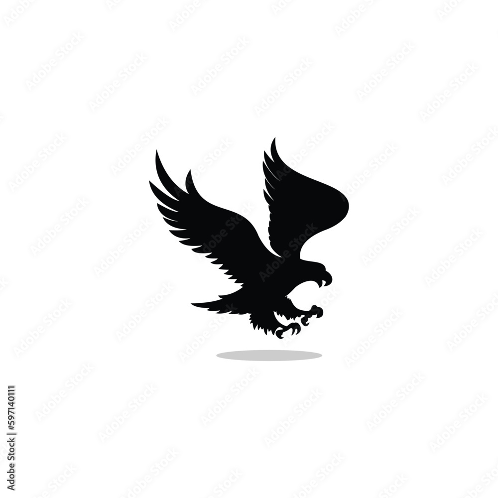 eagle in the black form eagle in the black form