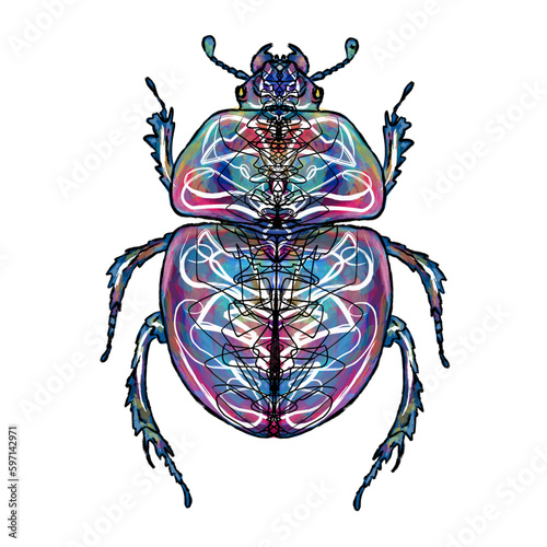 scarab beetle with bright patterns, multi-colored, black torn stroke edge, symmetry, insect	