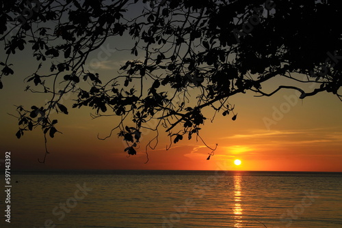 Sunset is bounded by a mirage of sky and sea, there are silhouettes in the foreground of tree branches and boats