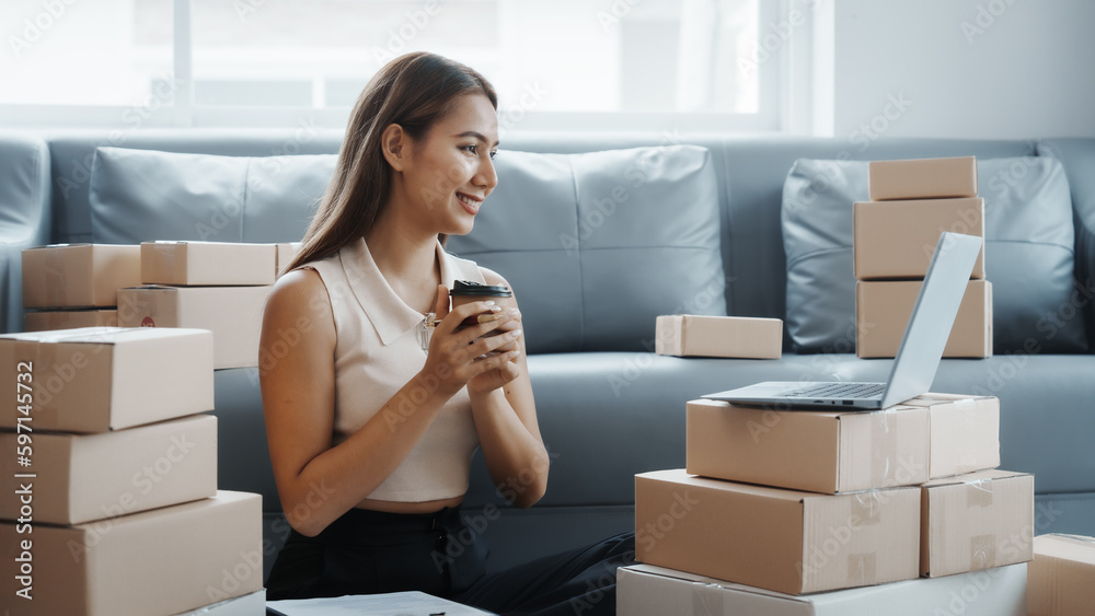 Using laptop, Portrait of pretty asian sme freelancer woman checking customer paid order on sofa after packing into cardboard box, online home small business, online influencer asia people.