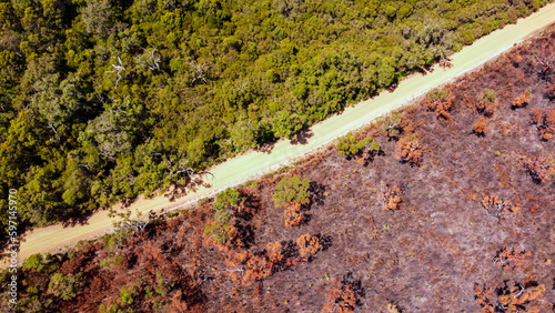 Bush fire aftermath drone shot in western Australia. One side of road healthy and green other burnt photo