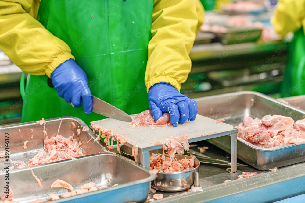 Worker cutting chicken meat on cutting board..