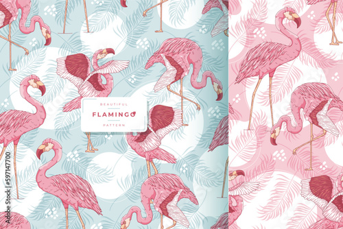 hand drawn exotic flamingo pattern collection
