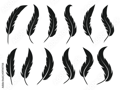 Feather icon isolated on White Background.