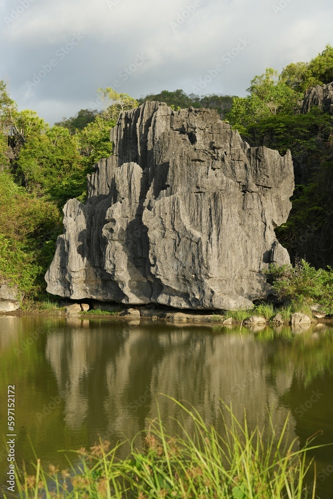 Karst stone in the middle of rice fields Karst stone in the middle of rice fields