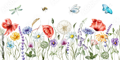Watercolor floral seamless border     Wildflowers  summer flower  blossom  poppies  chamomile  dandelions  cornflowers  lavender  violet  bluebell  clover  buttercup  butterfly.