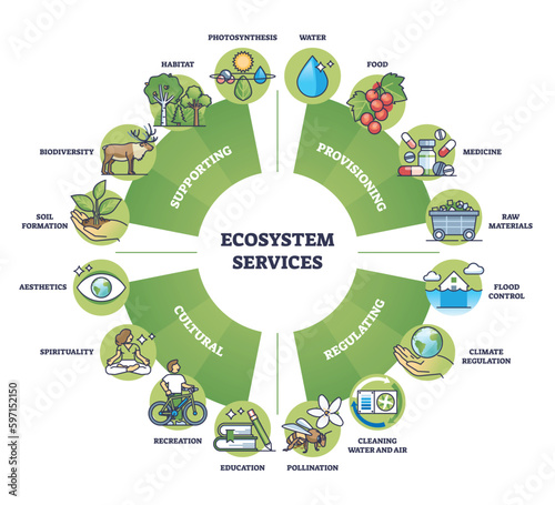 Ecosystem services and nature based ecological solutions outline diagram. Labeled educational division with provisioning, regulating, cultural and supporting planet save regulation vector illustration