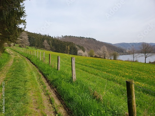 landscape with fence and a flower meadow with a lake in the background © Marcel