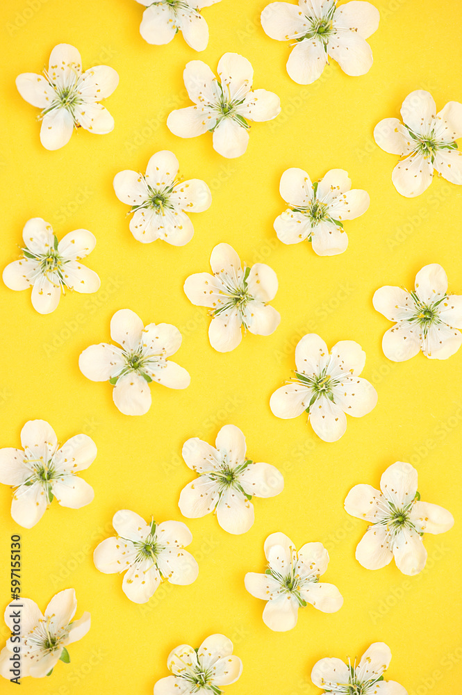 Patern white cherry flowers on a yellow background. vertical photo Patern white cherry flowers on a yellow background. vertical photo