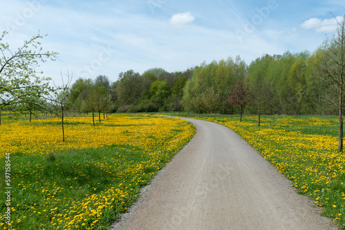 Werse Rad Weg im Frühling