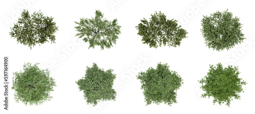 Set of tree on top view isolated on transparent background, 2d plants, 3d render illustration. © Sandy