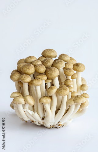 Shimeji mushrooms on white.