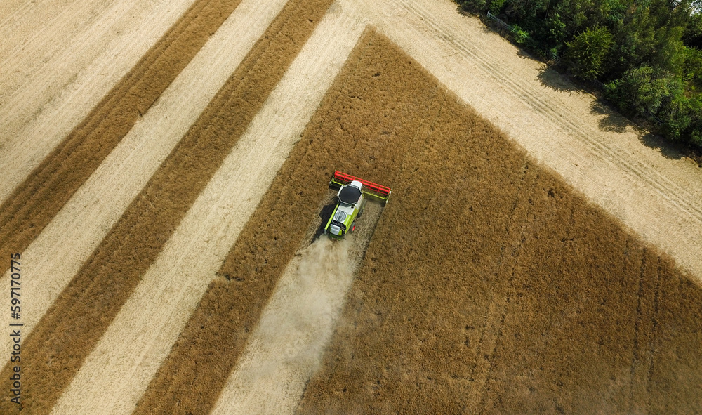 Fototapeta premium combine harvester working in a field