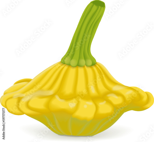 Yellow Patty Pan squash or Scallop or Scallopini squash. Summer squash. Cucurbita pepo. Fruits and vegetables. Vector illustration isolated on white background.